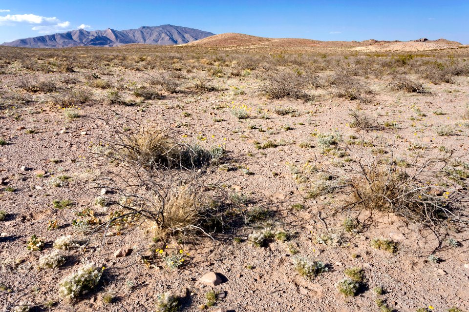 Near Fluorite Ridge