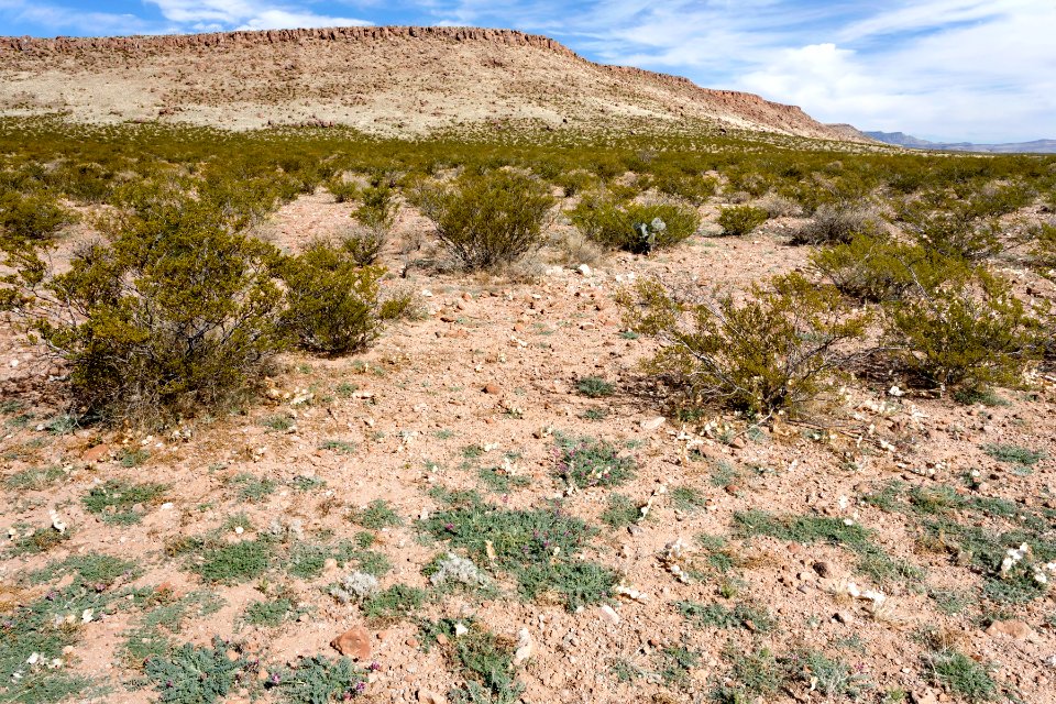 East of Apache Flats