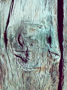 Boards old grain