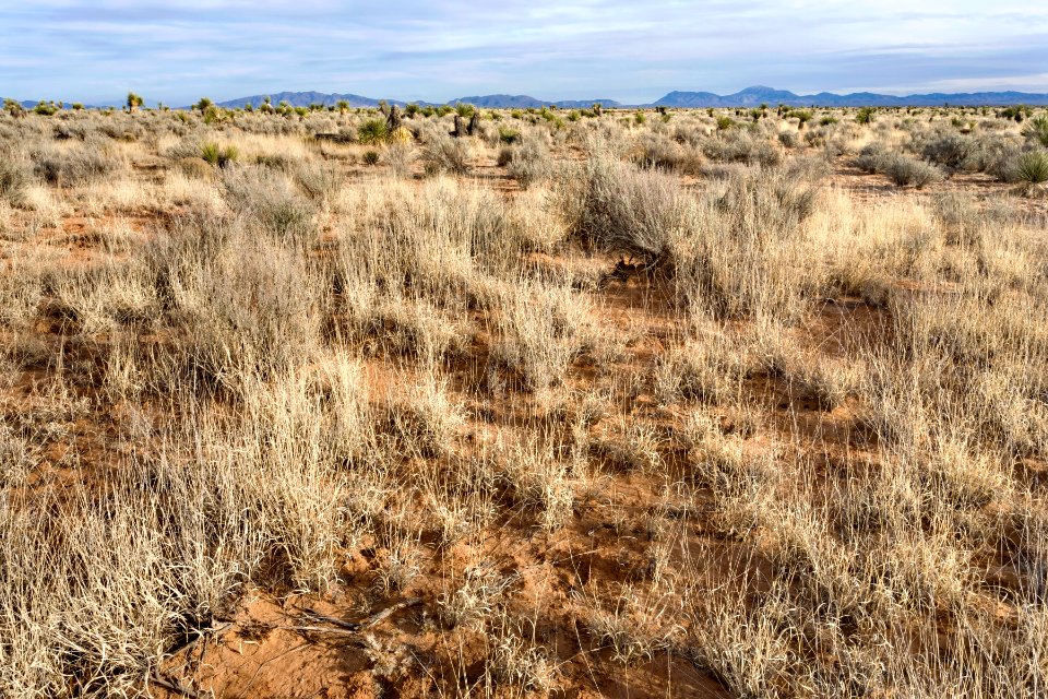 Northern Jornada Plain