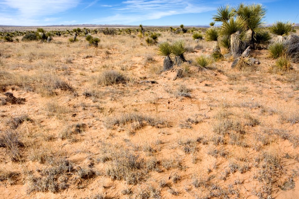 Eastern Otero Mesa
