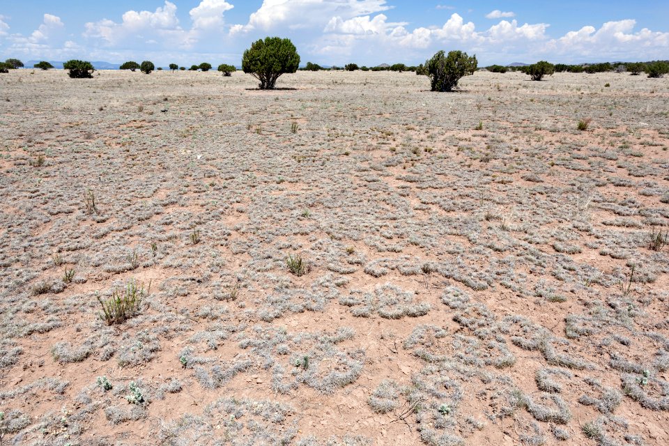 South of Tres Montosas