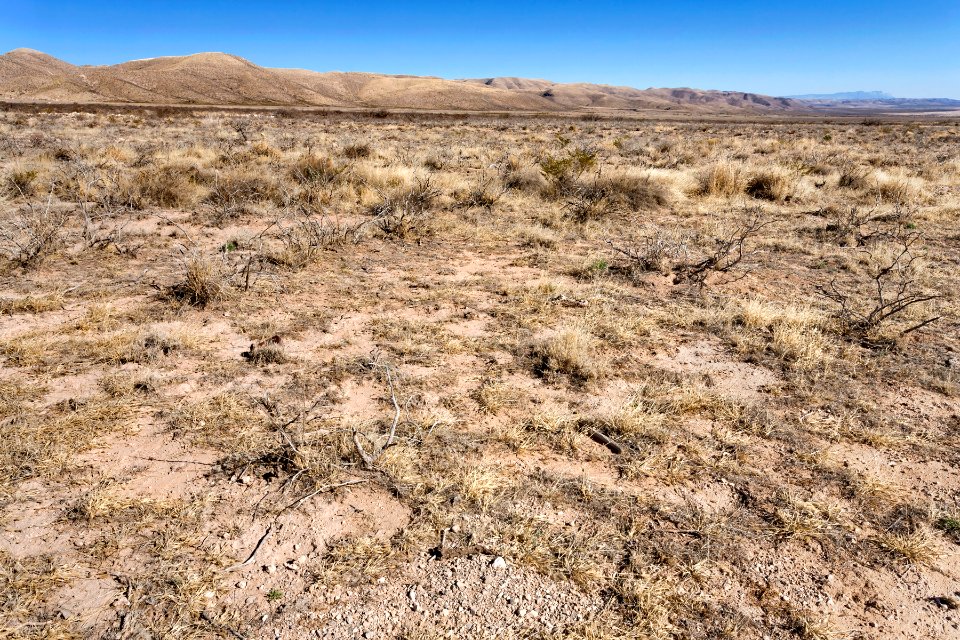 Otero Mesa