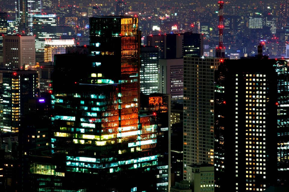 Tokyo Heights