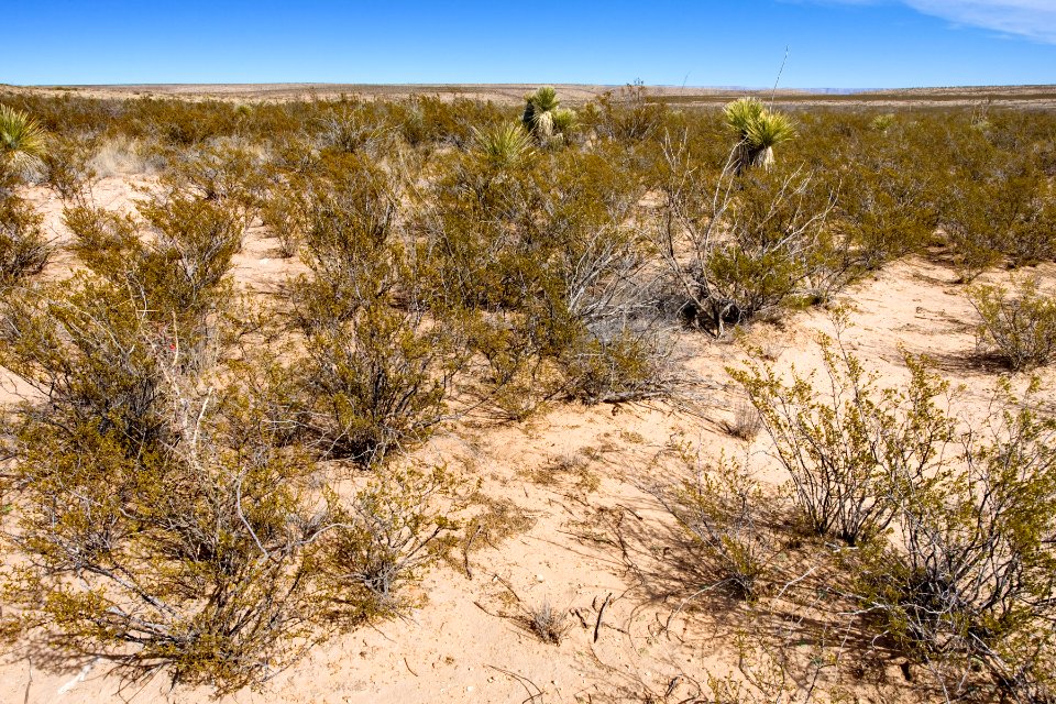 Eastern Otero Mesa