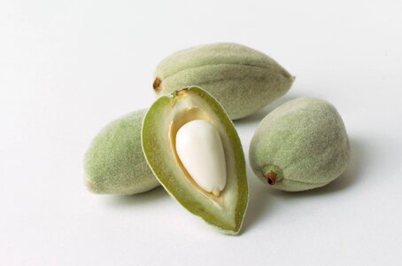 Seed food raw