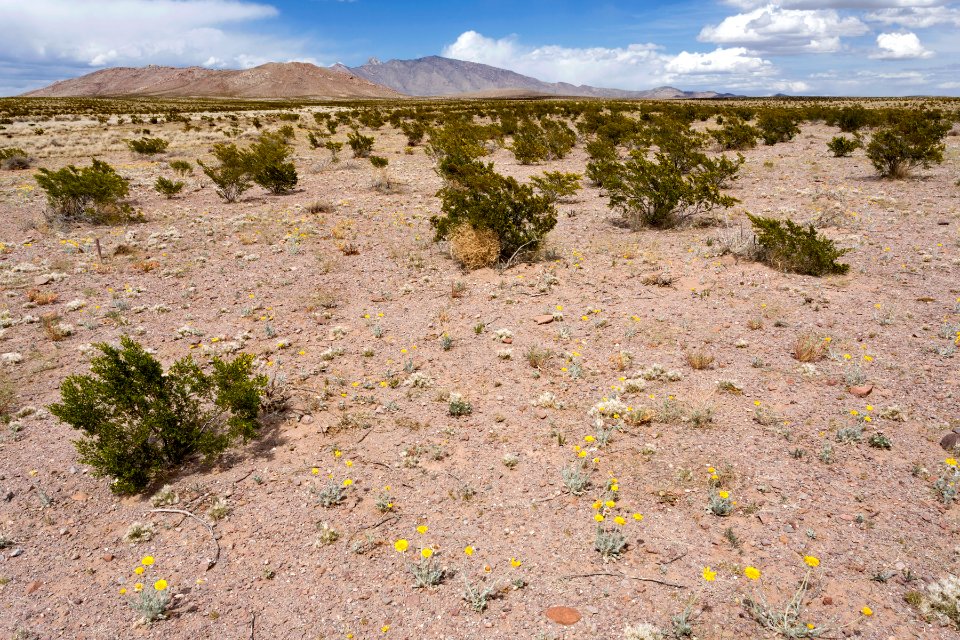 Near Goat Ridge