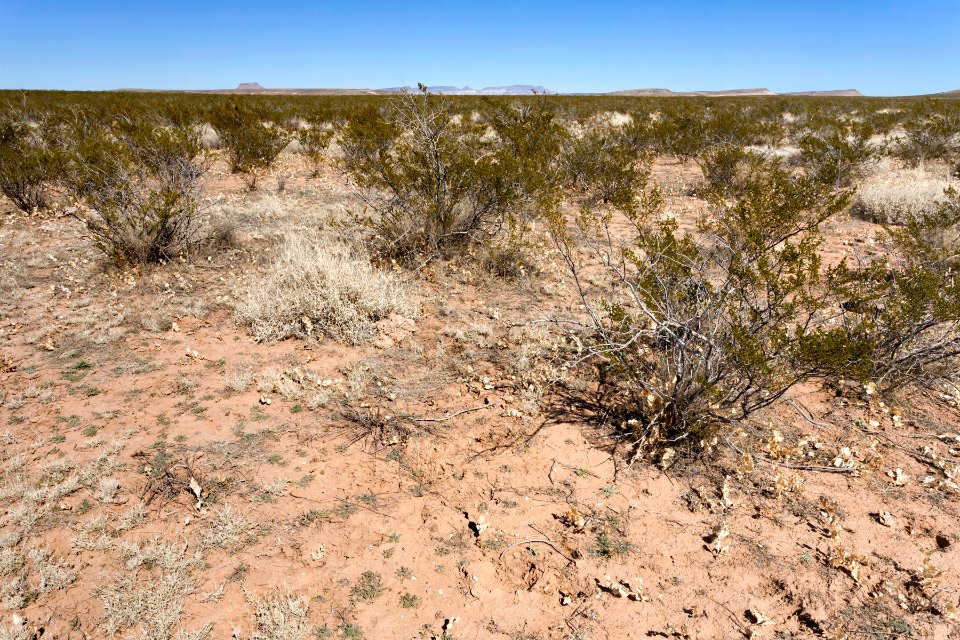 South of Apache Flats