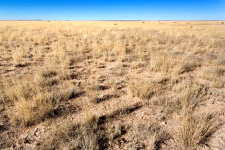 Otero Mesa