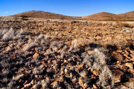 Eastern foothills of the Pyramid Mountains photo