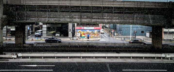 Alone in Tokyo IV photo