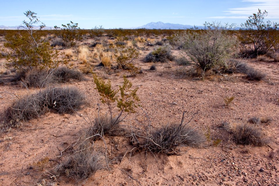 Mesa south of Cuchillo Negro Creek