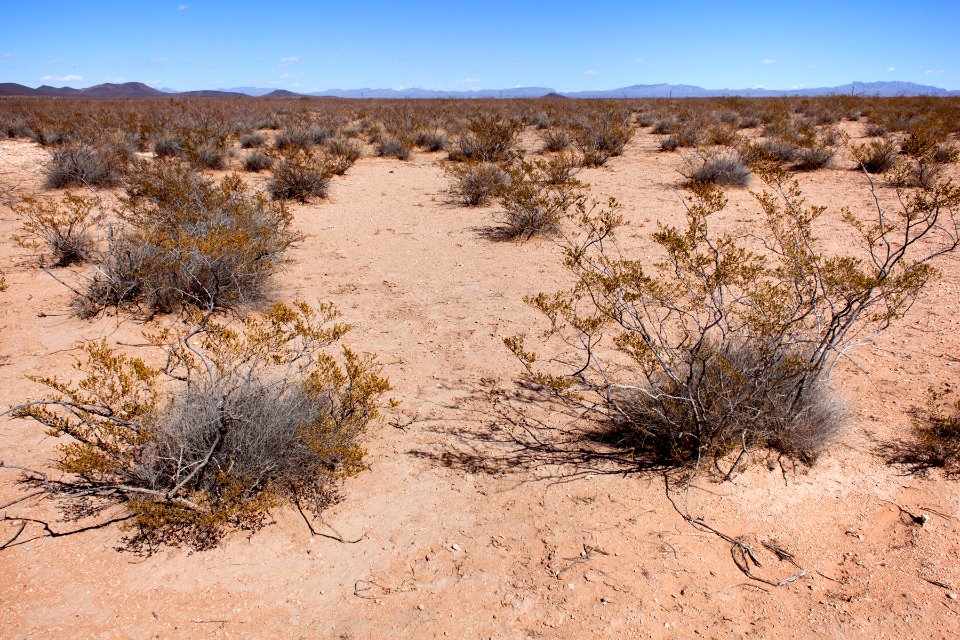 Along Upham Road near Rincon Arroyo