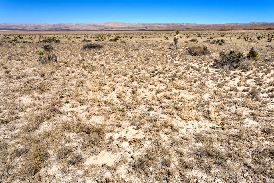 Otero Mesa