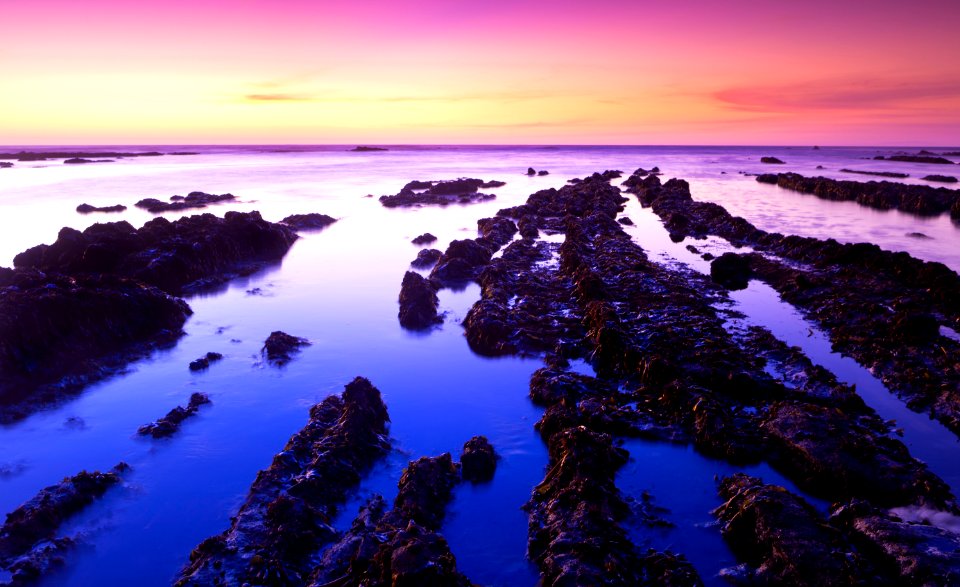 Fitzgerald Low Tide