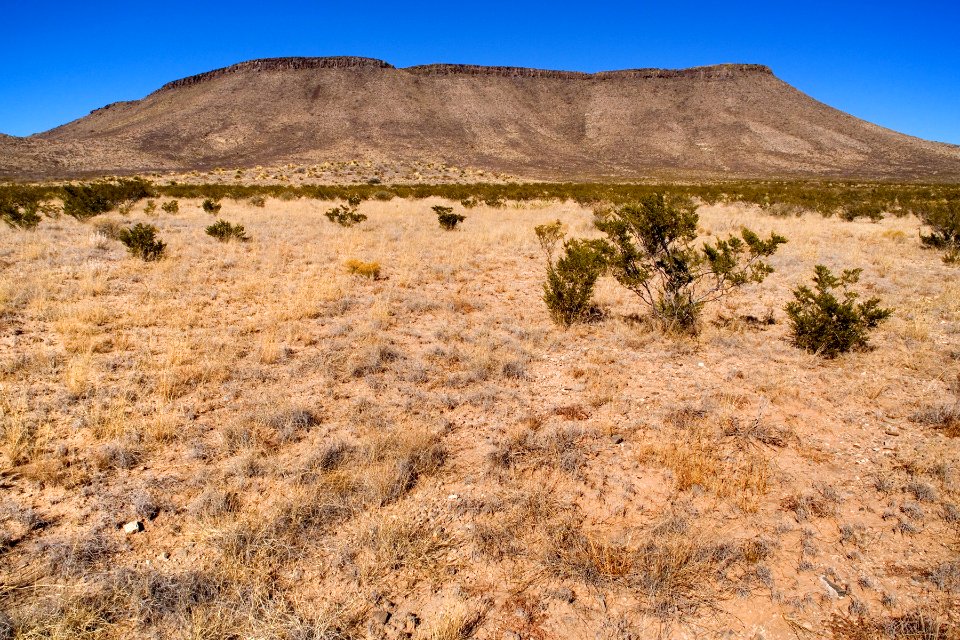 Southern Otero Mesa