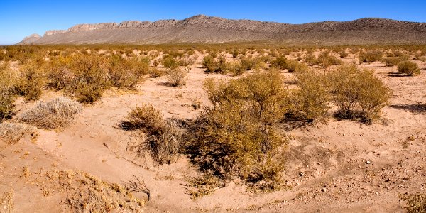 East side of Playas Valley