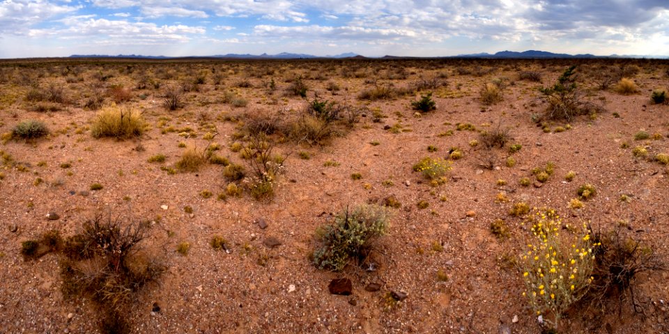 South bajada of the Pyramid Mountains