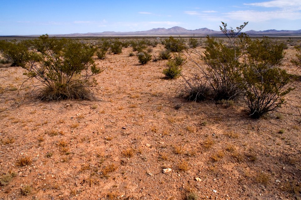 Northeast bajada of the Apache Hills