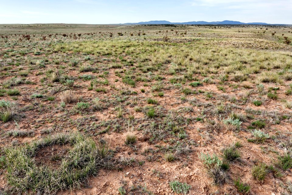 Northeast of Cat Head Mesa
