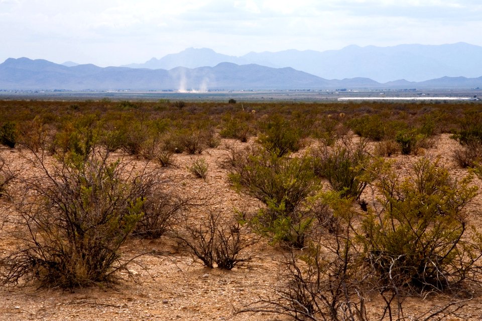 Western bajada of the Pyramid Mountains