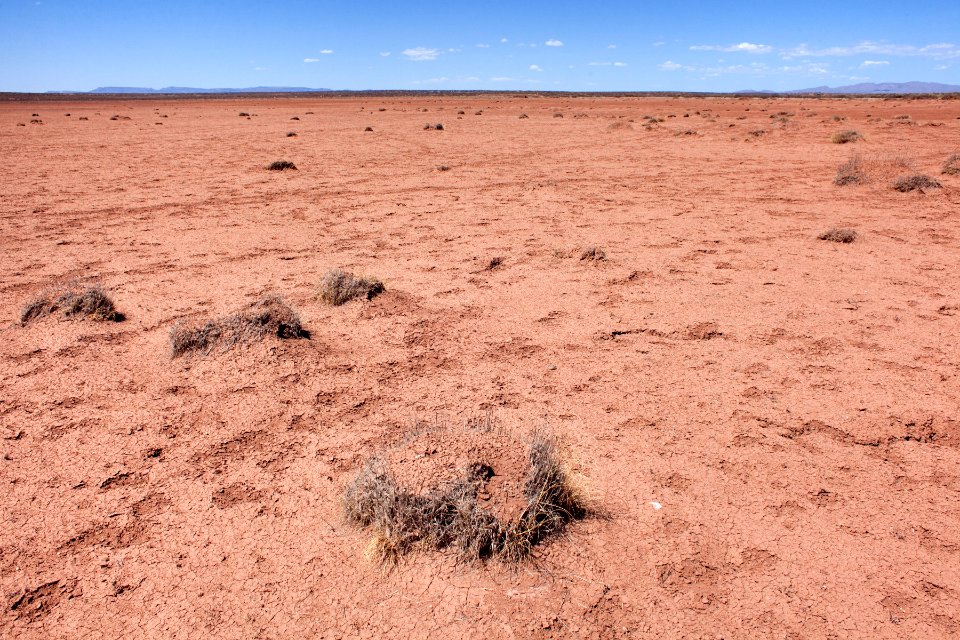 Jornada Experimental Range