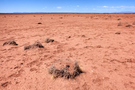 Jornada Experimental Range