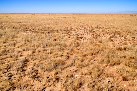 Southwestern Otero Mesa