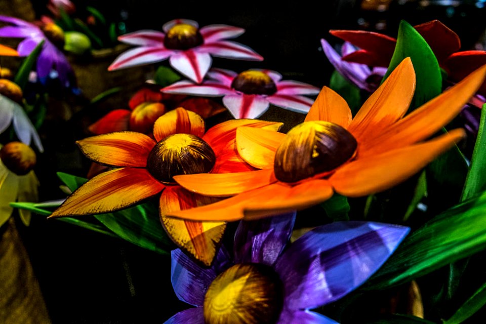 Scenes from the Philadelphia Flower Show 2016 - Flowers 2