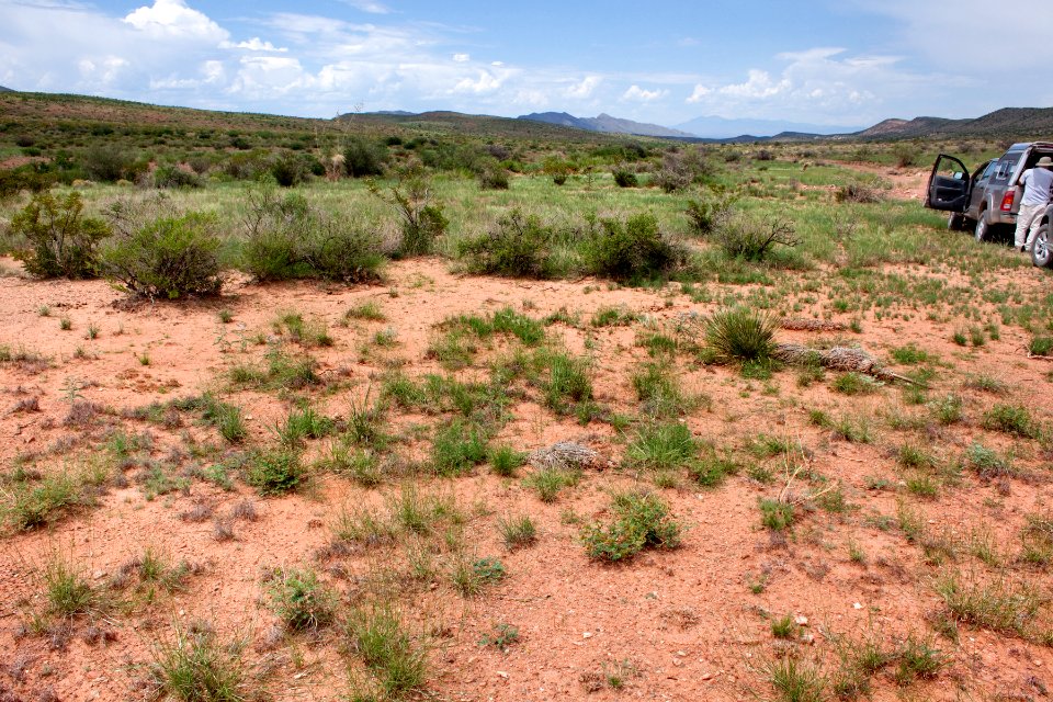 Eastern foothills of the Caballo Mountains