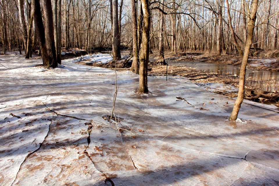 White River floodplain