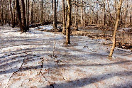White River floodplain