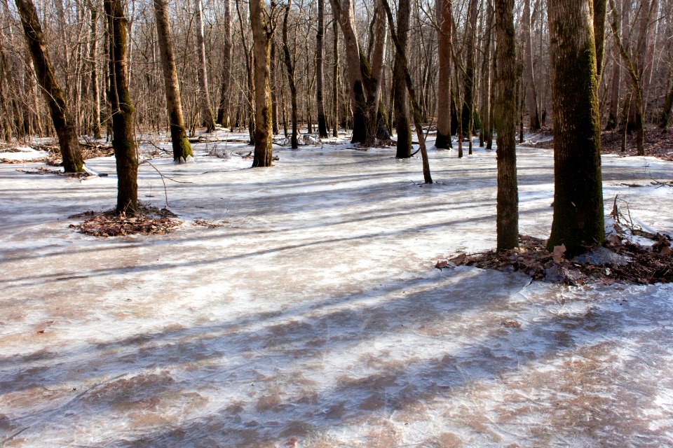 White River floodplain