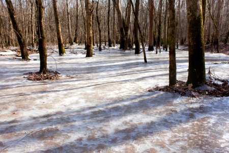 White River floodplain