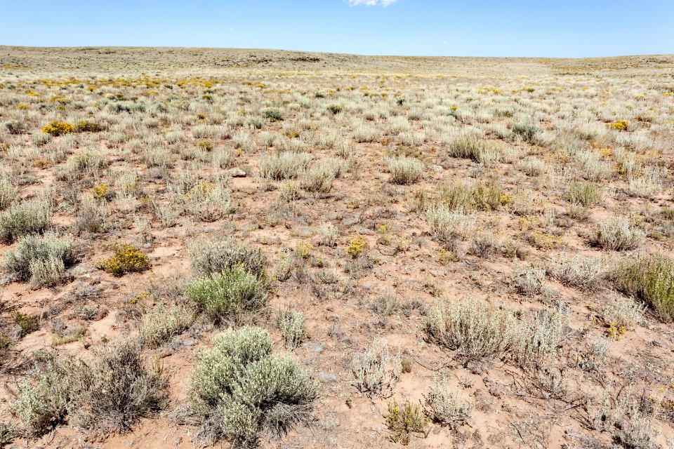 South of Grants Malpais
