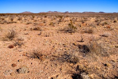 South bajada of the Pyramid Mountains