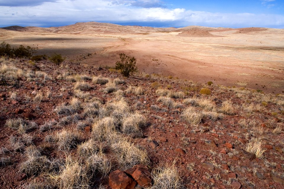 Northeastern edge of the Good Sight Mountains