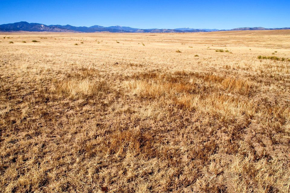 Between Angel Fire and Springer