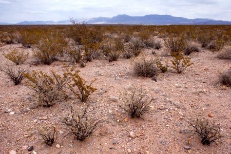 Between Trujillo Canyon and Wicks Gulch