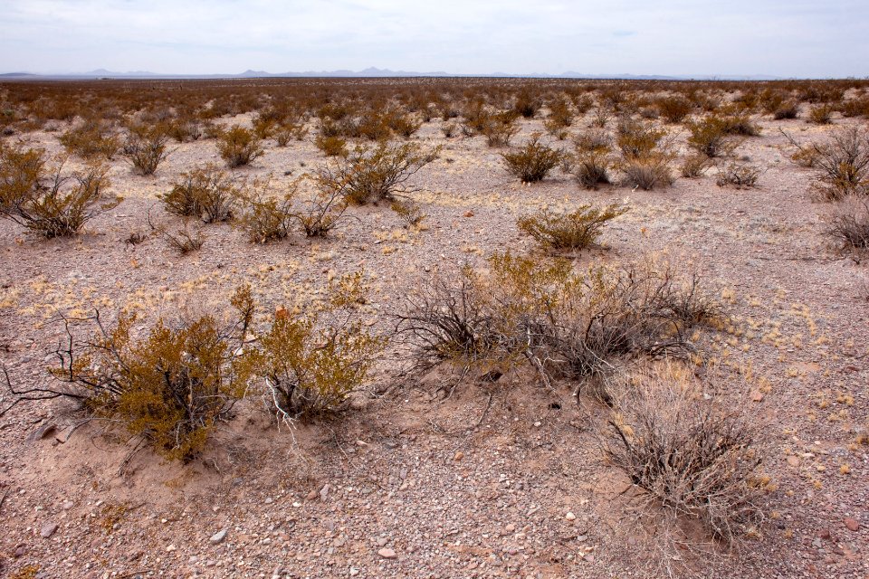 Northwest of Goat Ridge
