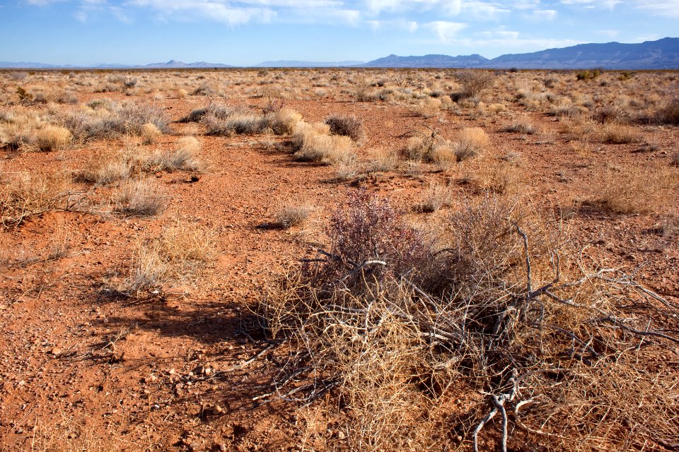 West of Caballo Lake