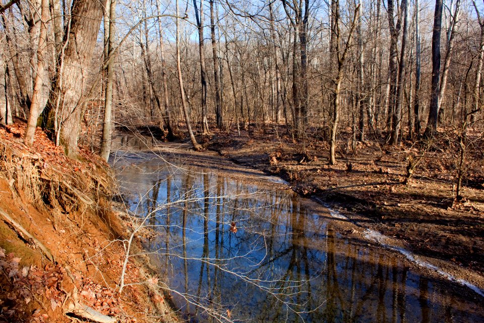 Griffy Lake