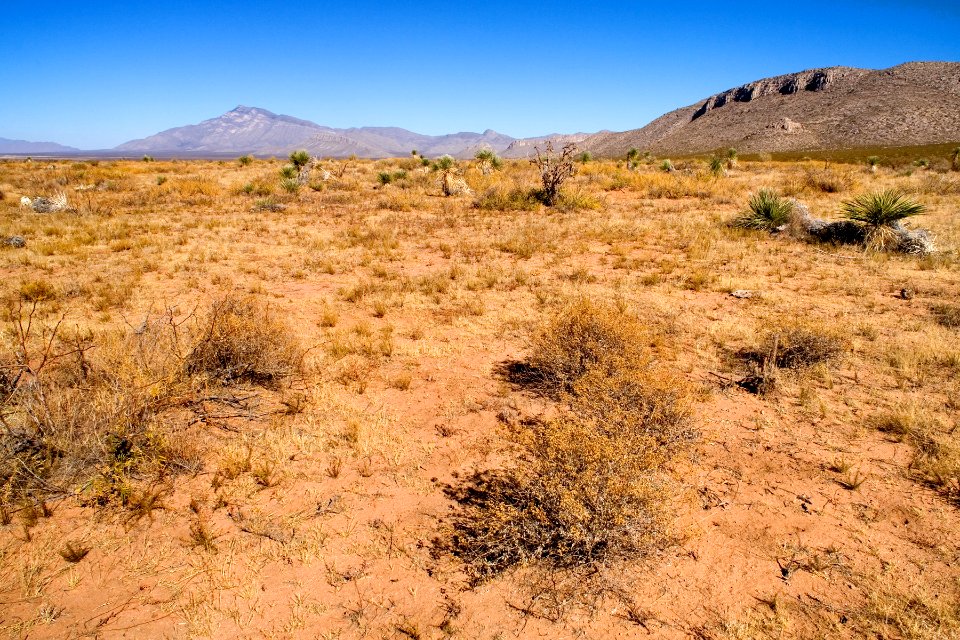 East side of Playas Valley