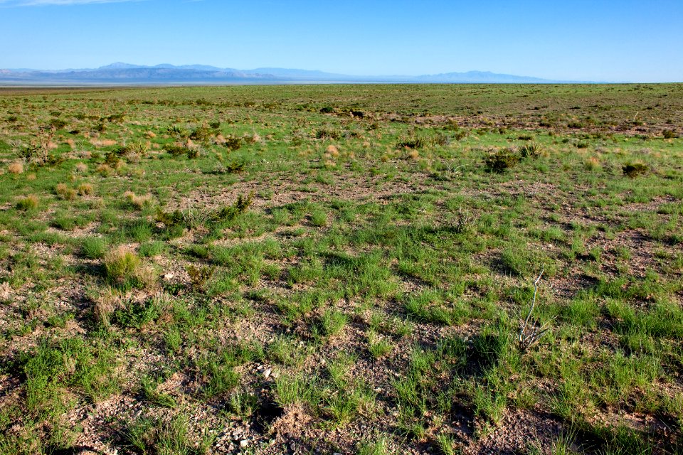 Northwestern bajada of the San Andres Mountains