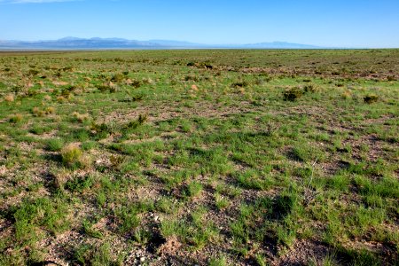 Northwestern bajada of the San Andres Mountains