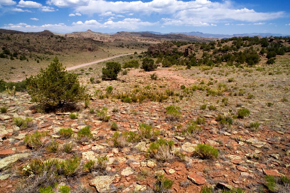 South of Del Norte