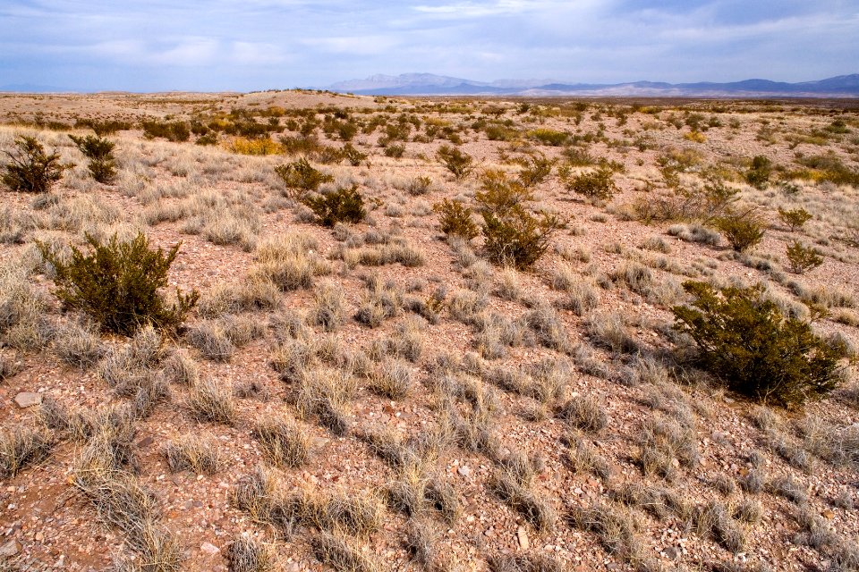 Southwest of Arroyo Cuervo