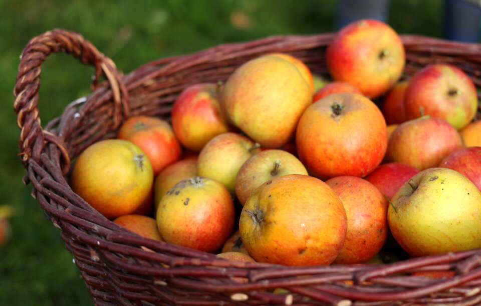 Fruit basket fruit vitamins
