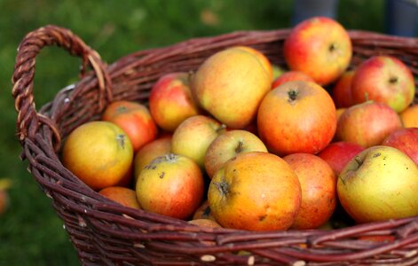 Fruit basket fruit vitamins photo