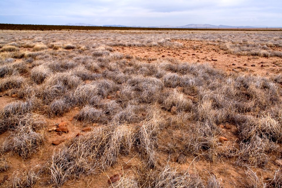 Northwestern Uvas Valley